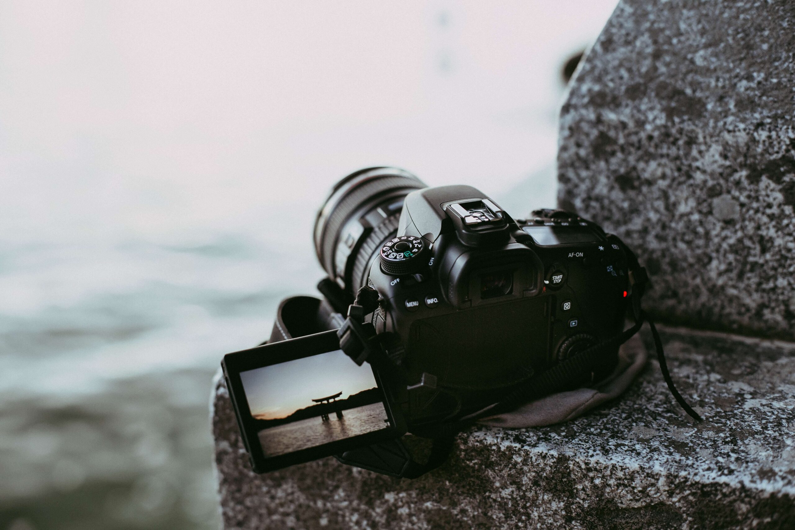 The Best Online Resources For Learning Photography